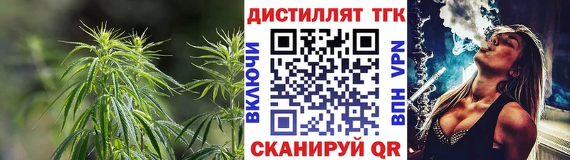 блэк спрут как войти  купить наркотик  Сурск  ТГК гашишное масло 