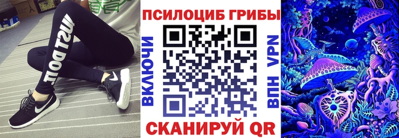 как найти закладки  Сурск  Псилоцибиновые грибы Psilocybine cubensis 